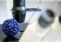 Low-Res_2024_04_17_KM_Hepatitis_E-2