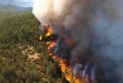 Wildfire_From_The_Air