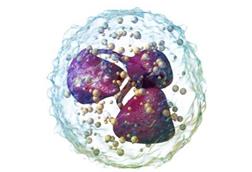 Low-Res_IICSA_26_2_Picture2