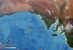 Algae_bloom_chlorophyll_South_Australia_ESA512113