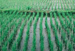 pexels-orlovamaria-4913526 (1)