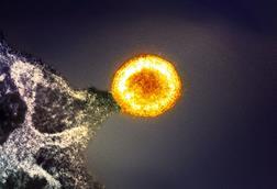 HIV-1_Virus_Particle_(52532147267) (1)