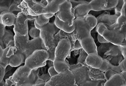 Screenshot 2026-03-23 140548