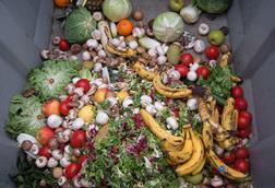 Trashed_vegetables_in_Luxembourg