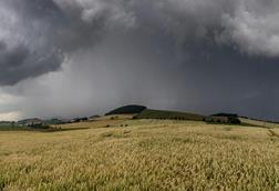 pexels-keith-proven-152665315-12248016