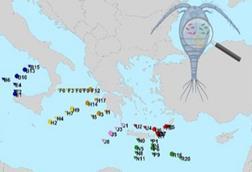 Low-Res_copepod microbiome map