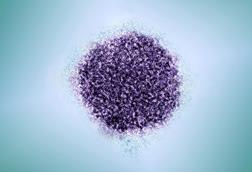 Hepatitis_C_-_53077378506