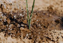 pexels-karola-g-4207907