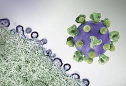 HIV_Virus_-_2