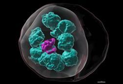 Low-Res_Striking Image