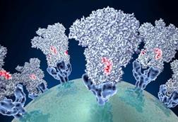 Low-Res_IICSA_16_2_Picture