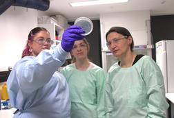 (L-R) Siobhonne Breen, Dominika Fuhs, Cornelia Landersdorfer, with Pseudomonas aeruginosa in a petri dish