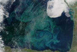 Bay_of_Biscay_from_Aqua_(2005-04-29)