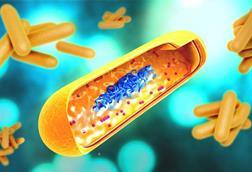 Low-Res_Michael April 1 TB Bacteria Illustration (CDC Image)