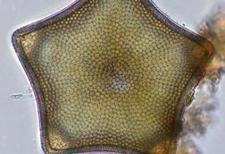 Low-Res_oo_1536307