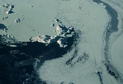 pexels-nikita-grishin-128711293-10488866