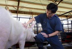 Low-Res_Tsung Cheng Tsai - 2