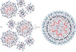 Vaccines-09-00065-g002.webp