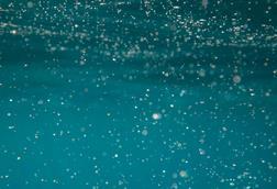 pexels-jess-vide-5008007