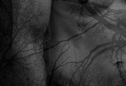 pexels-darya-grey_owl-132130036-18512771