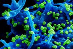 Lassa_Virus_-_51719109817