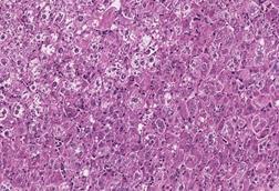 Low-Res_Rice_4626_HERO