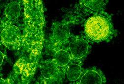 pexels-cdc-library-3992943 (2)