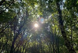 Low-Res_Little snoring experimental site 3_CREDIT James McDonald