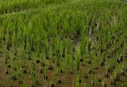 pexels-alexeydemidov-10658534