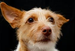 pexels-larry-penaloza-311813562-13776239