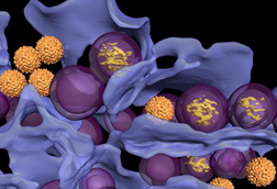 Low-Res_LGTV_1280_720