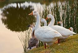 pexels-riya-nanavati-3816978-5658261