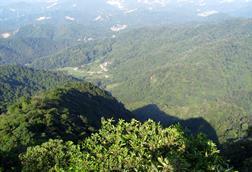 王子山森林公园_-_panoramio