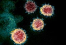 Novel_Coronavirus_SARS-CoV-2 (1)