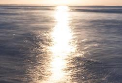 pexels-marek-piwnicki-3907296-15523132