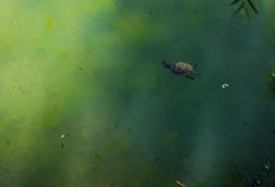 pexels-muhammed-furkan-birogul-622168247-17815261