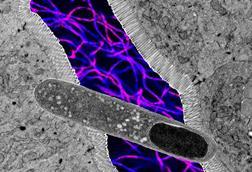 Low-Res_KKT8 image_1