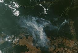 Deforestation_Heats_Up_in_Brazil_(MODIS_2024-08-01)