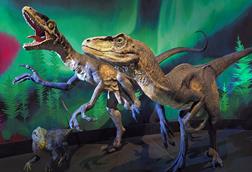 Deinonychus_DL