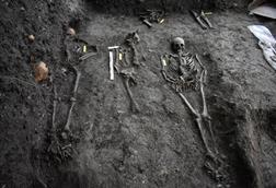 Low-Res_Skeletons, Stavanger
