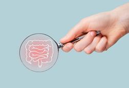 iStock-1463085687