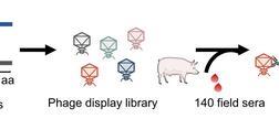 Low-Res_图片31