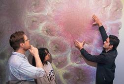 Low-Res_ISB Gibbons Lab