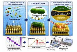 Plasmonic3