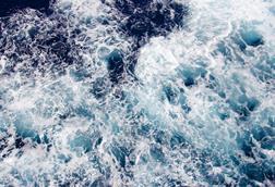 pexels-matthew-barra-178916-812958