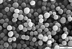 Staphylococcus_aureus_SEM