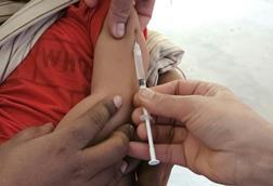 pexels-cpkhanal-20471645