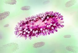 Human_Respiratory_Syncytial_Virus_(RSV)_-_52870647004
