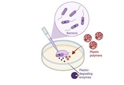 Low-Res_Graphical_Abstract