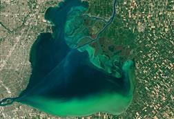 Algal Bloom in Lake St.Clair